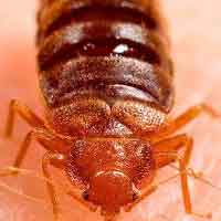 24-7 Emergency Service