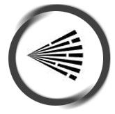 Bedbug Treatment and Removal Services